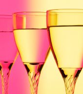 Suspendisse arcu nisl